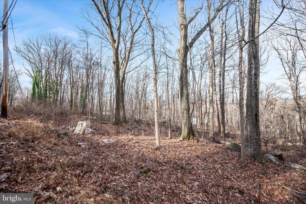 Photo of Lots 115, 116, 210 RED MAPLE LANE
