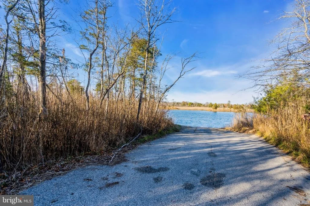 Photo of 3 DOCK AVENUE
