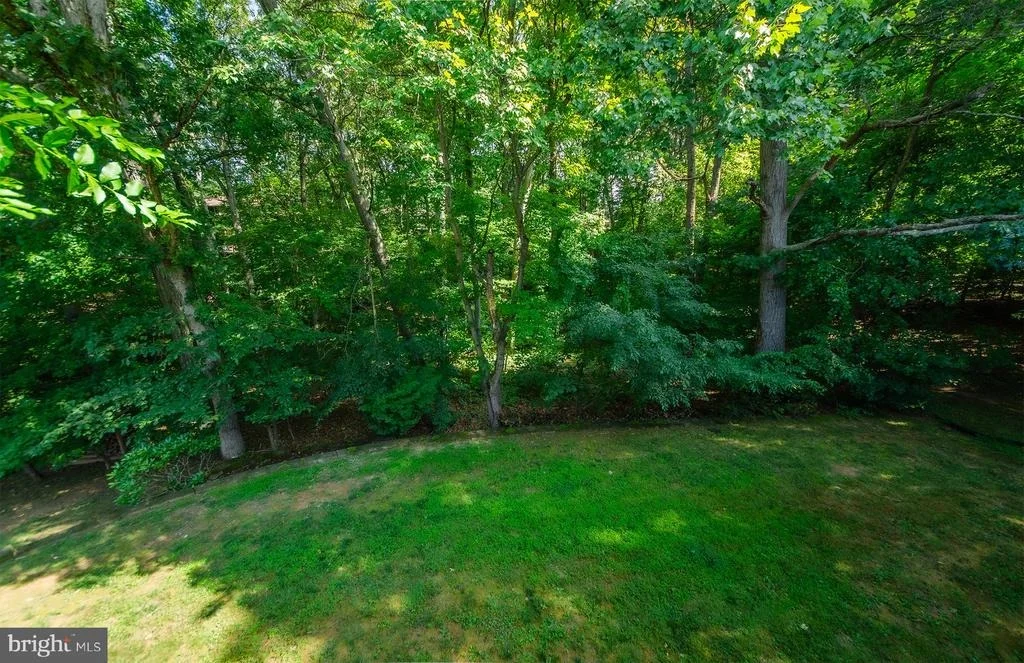 Photo of 1430 WOLFTRAP RUN ROAD
