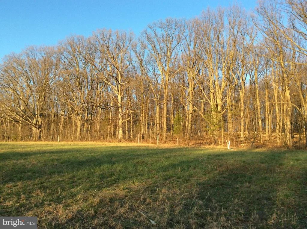 Photo of 11322 DAYSVILLE ROAD