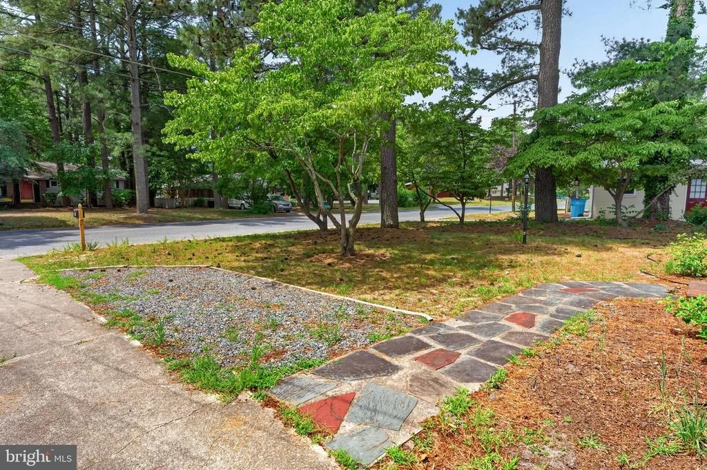 Photo of 509 LOBLOLLY LANE