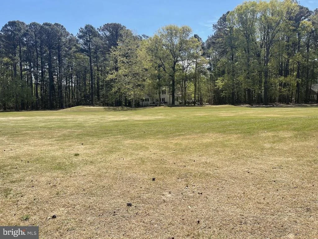 Photo of 11235 ANNABELLE DRIVE