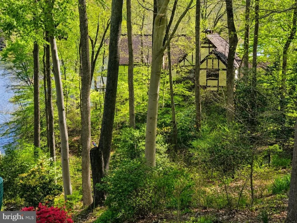 Photo of 2490 TREE HOUSE DRIVE