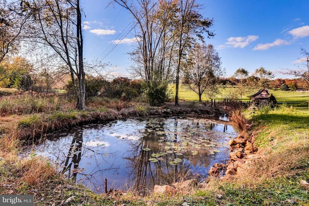 Photo of 3779 SHARP ROAD