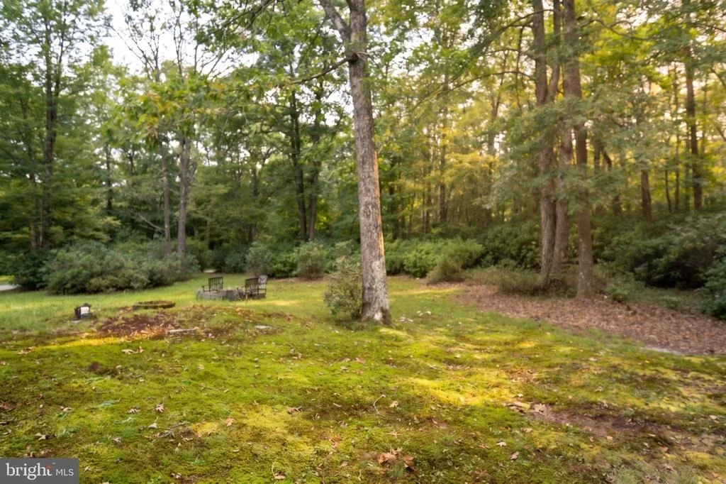Photo of 252 RACOON DRIVE