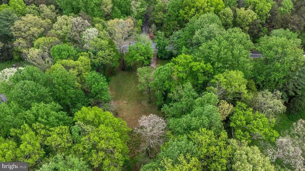 Photo of 10979 STUART MILL ROAD