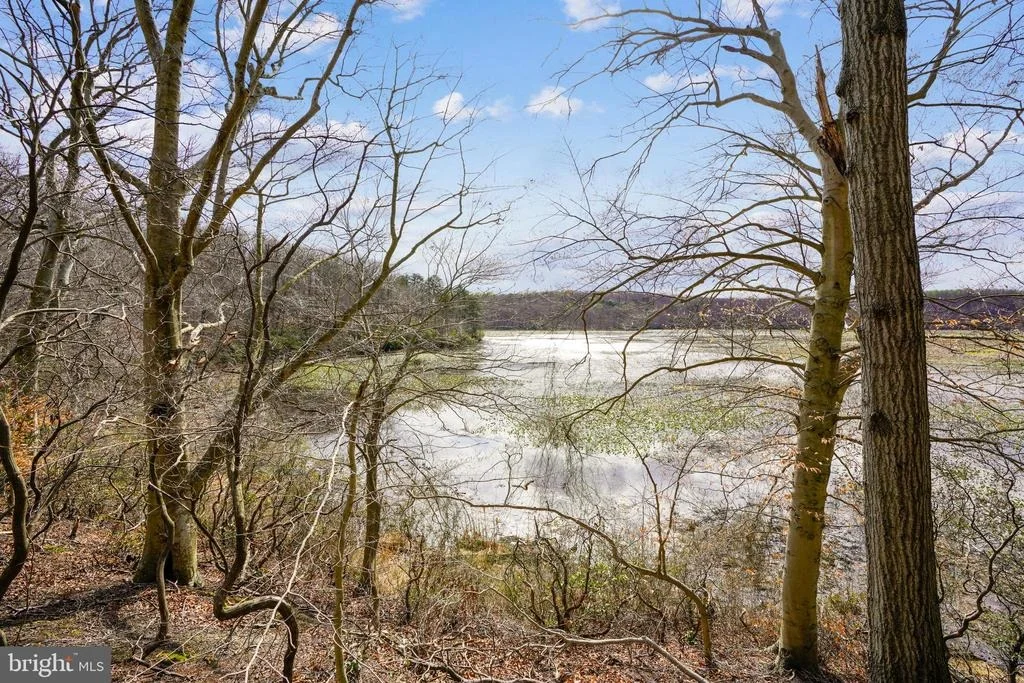 Photo of 8004 BIG POOL ROAD