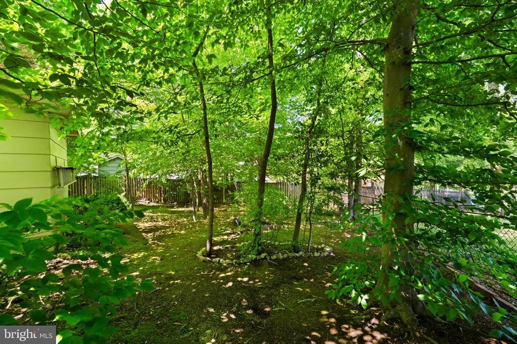 Photo of 6703 RED JACKET ROAD