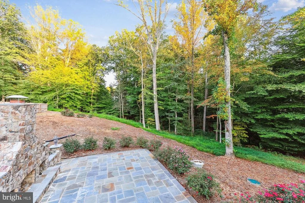 Photo of 12792 YATES FORD ROAD