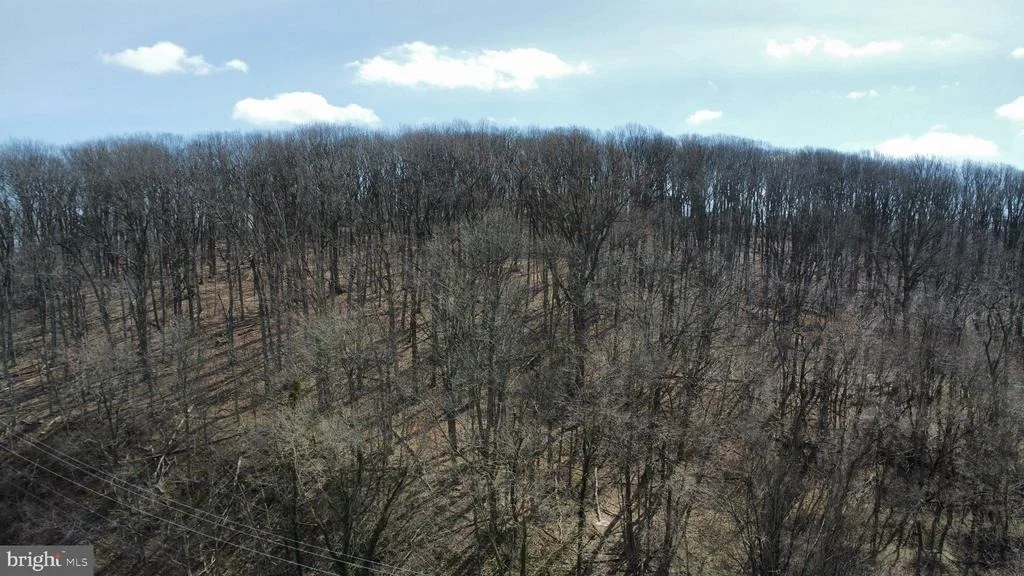 Photo of 2849 MANCHESTER ROAD