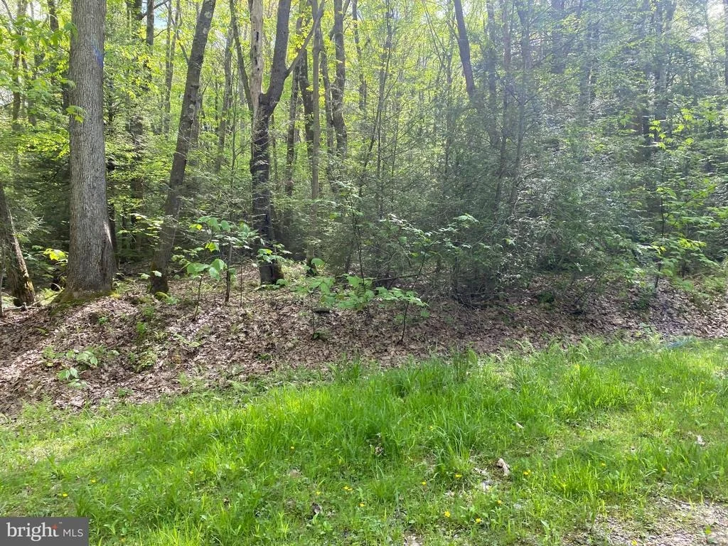 Photo of Lot 3 DEER RUN ROAD
