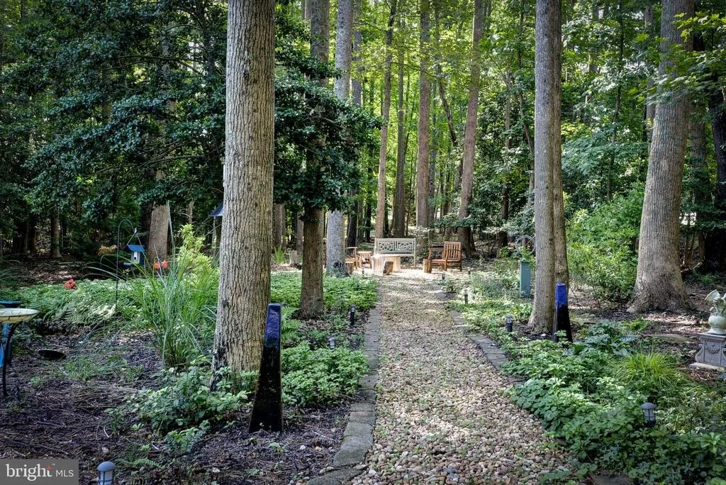 Photo of 3128 BENT TREE LANE