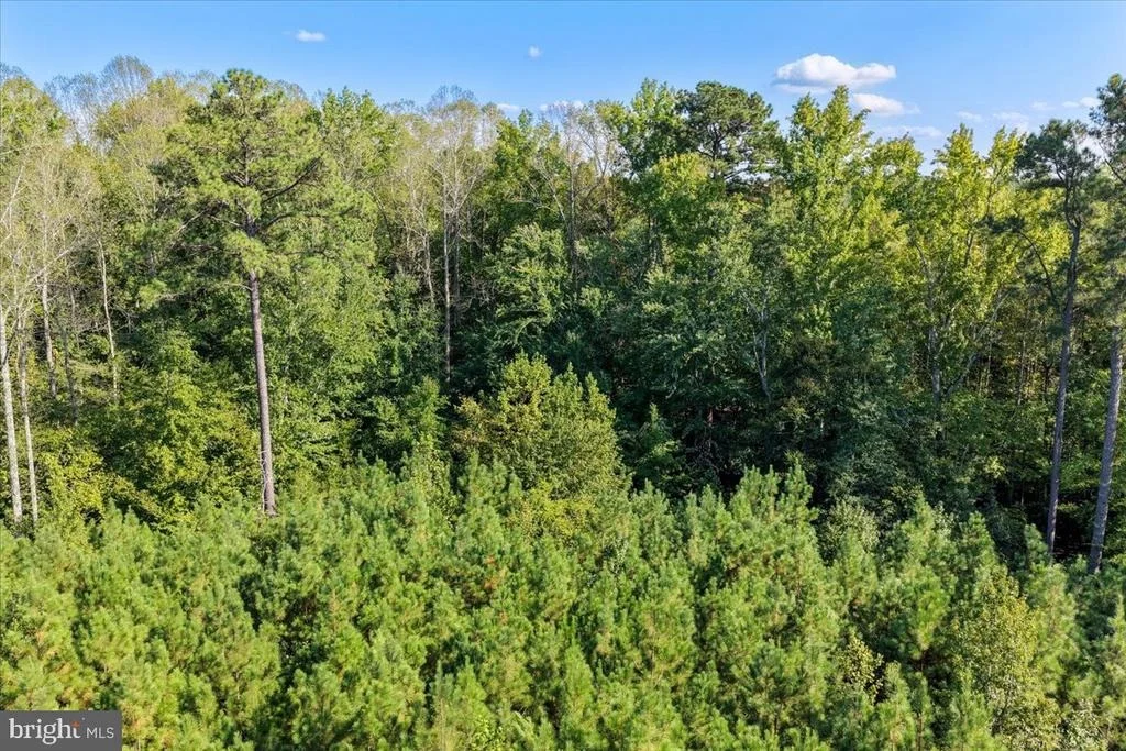 Photo of Lot 7 & 8 COUNTY POND ROAD