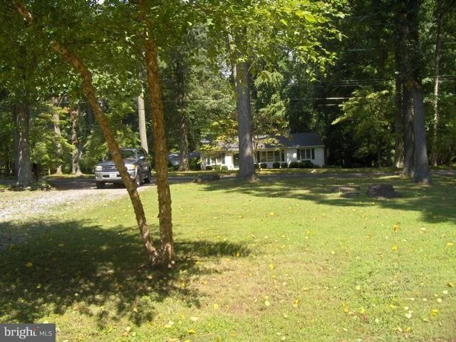 Photo of 