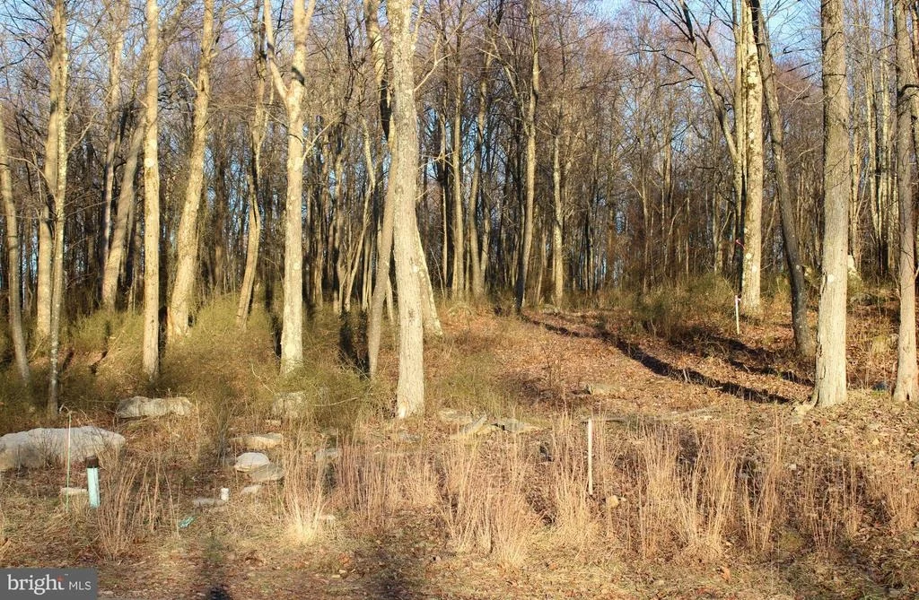 Photo of Lot 8 FOX RUN DR