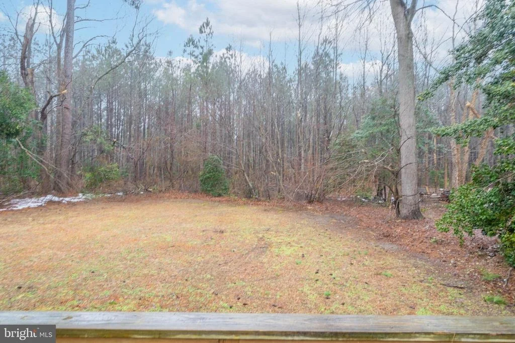 Photo of 18284 SHINGLE POINT ROAD