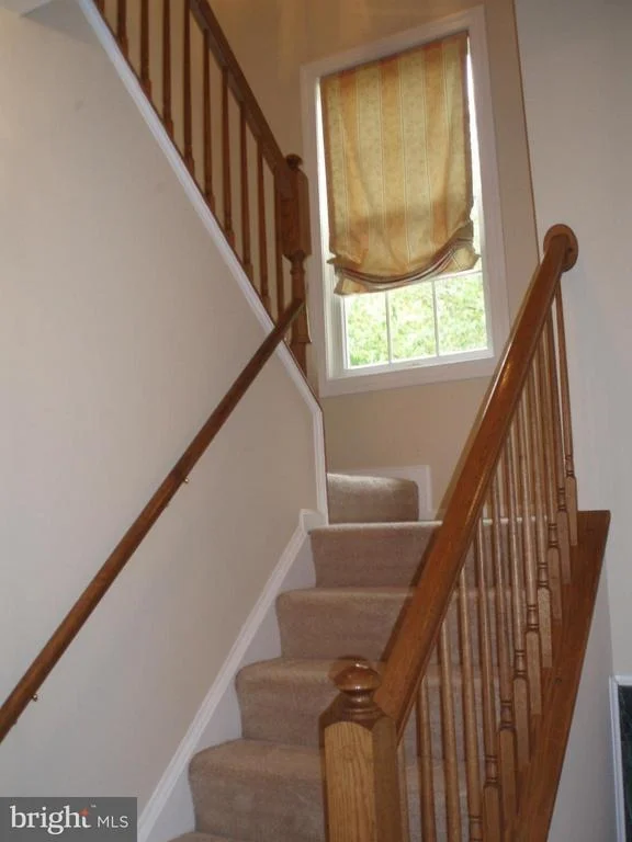 Photo of 3707 MARTINS DAIRY CIRCLE