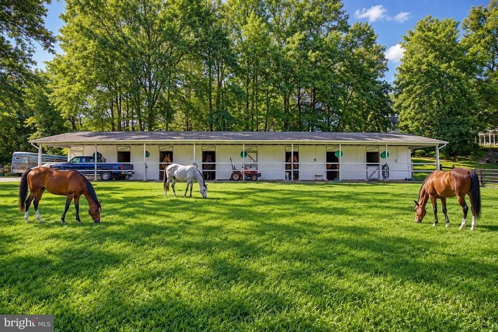 Photo of 116 PROSPECT DRIVE