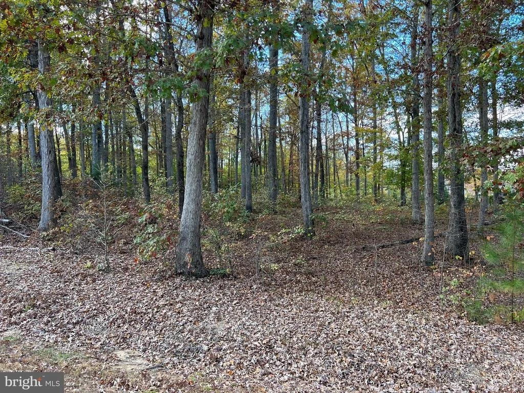 Photo of LOT 9 RAINBOW RIDGE