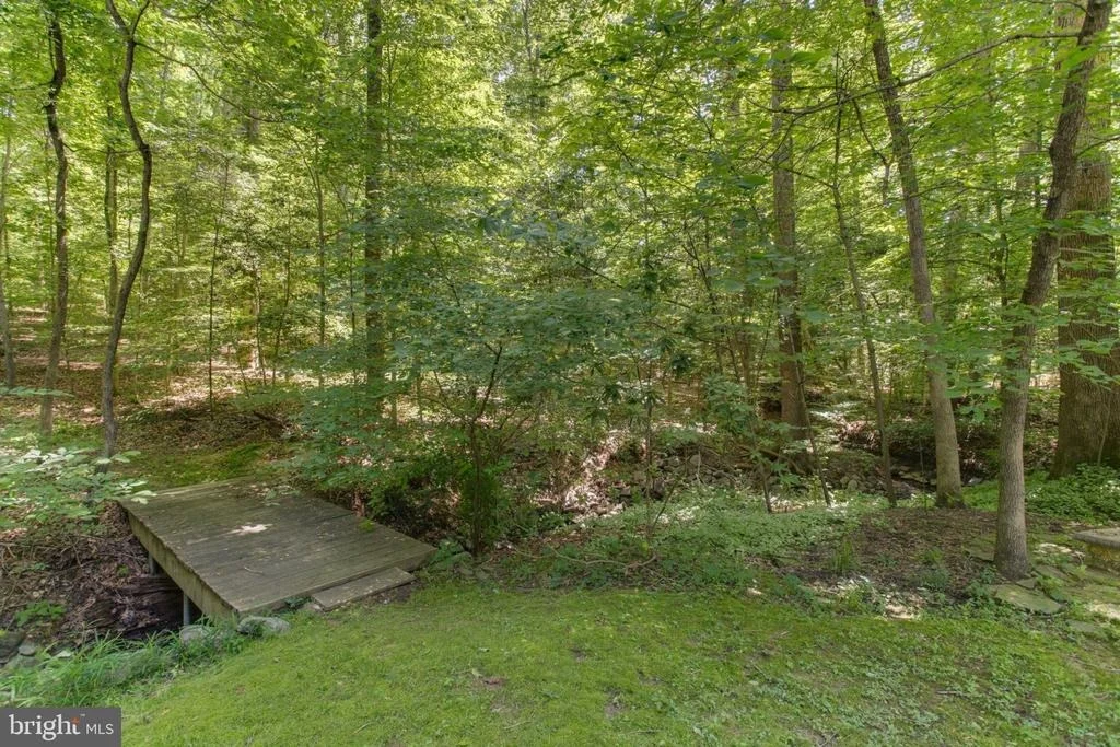 Photo of 10425 MOUNT VERNON DRIVE