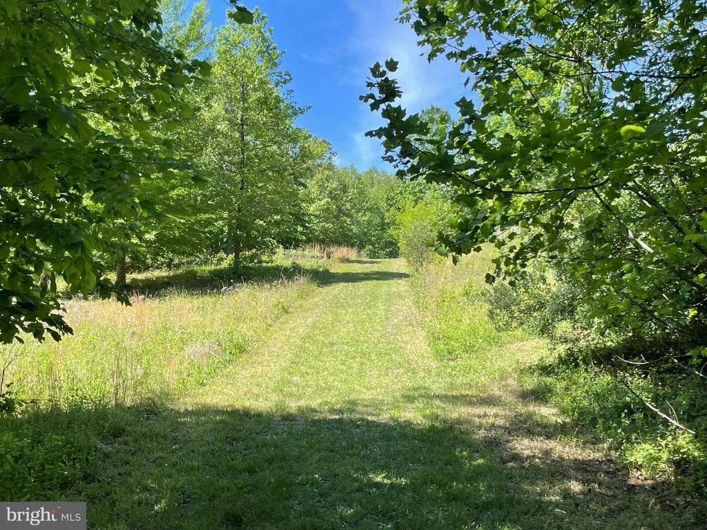 Photo of 1225 MIDDLE RIVER ROAD