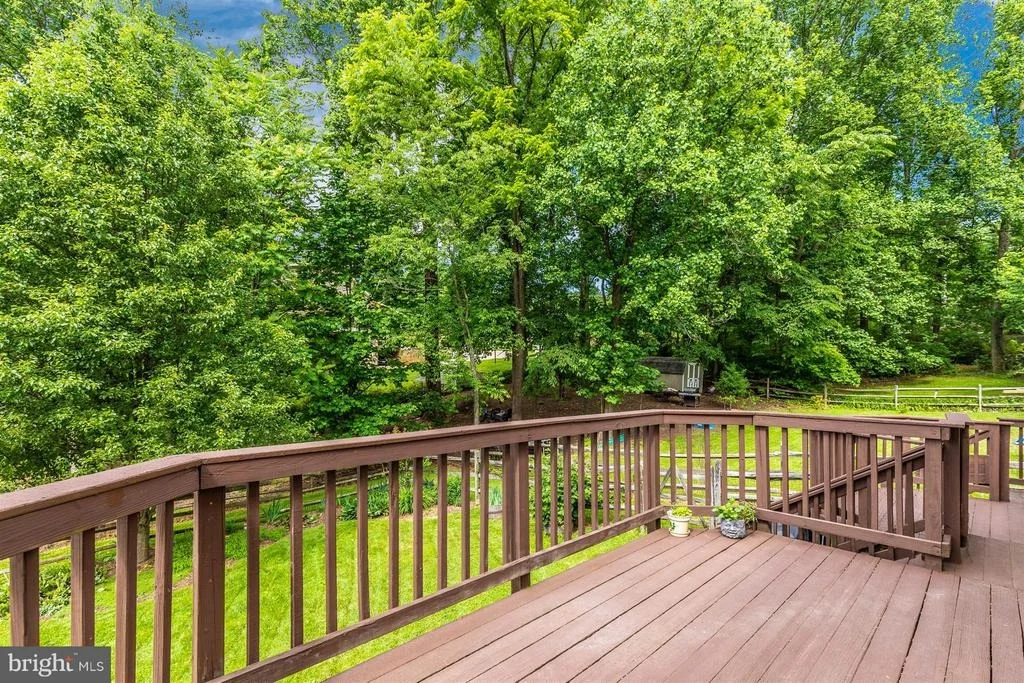 Photo of 24314 PREAKNESS DRIVE