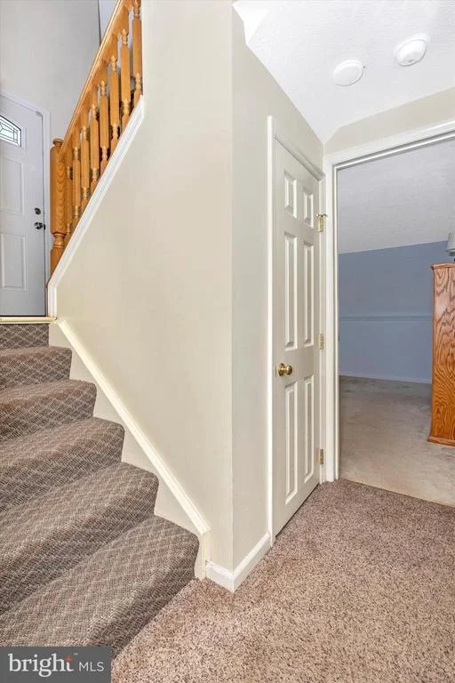 Photo of 1001 CHINABERRY DRIVE