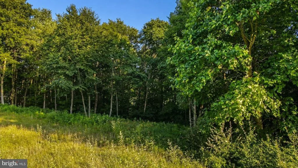 Photo of Lot 168 FORK RUN TRAIL