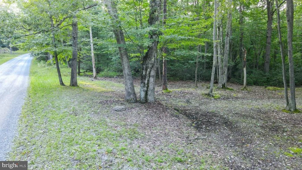 Photo of Lot 8 STOOL ROCK ROAD