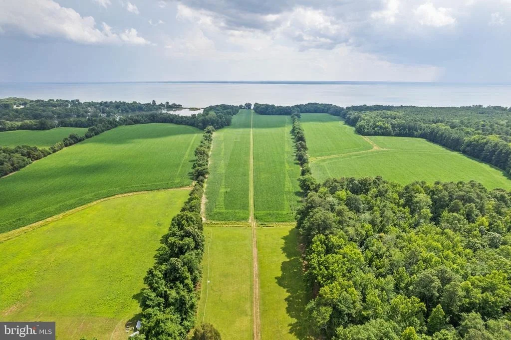 Photo of 19700 MULBERRY FIELDS ROAD