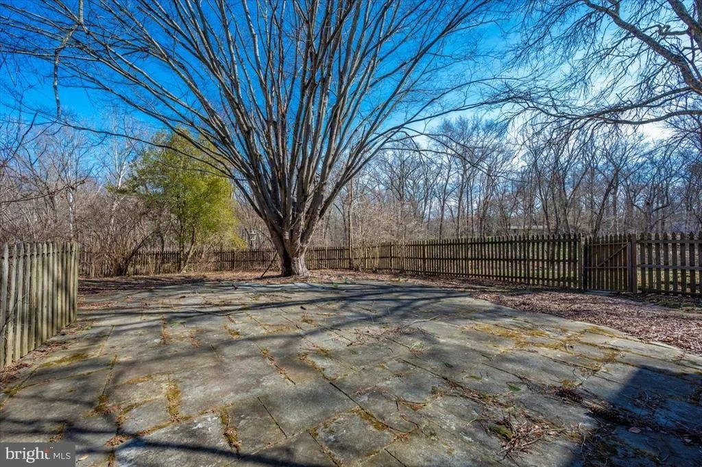 Photo of 20811 MIRACLE DRIVE