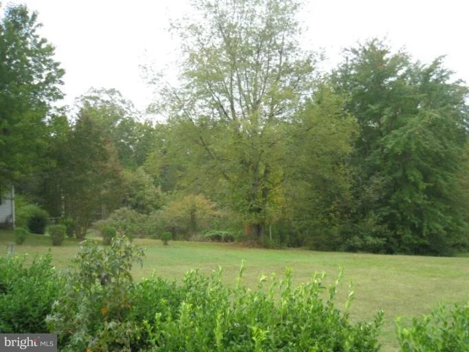 Photo of 10565 LIMMERICK DRIVE