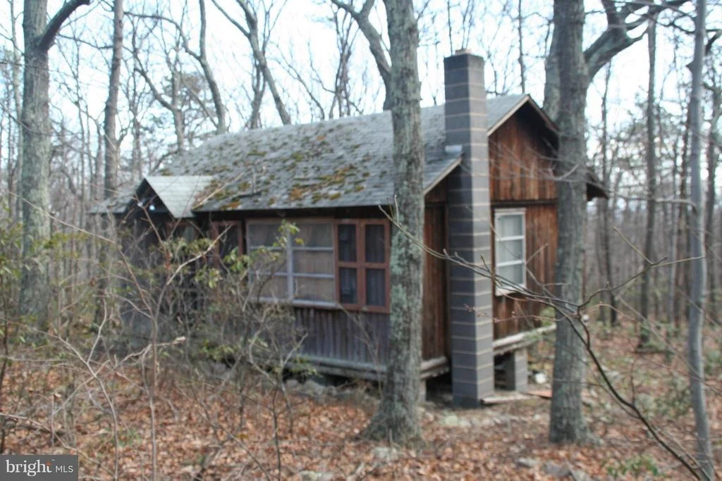 Photo of 509 OPOSSUM TRAIL