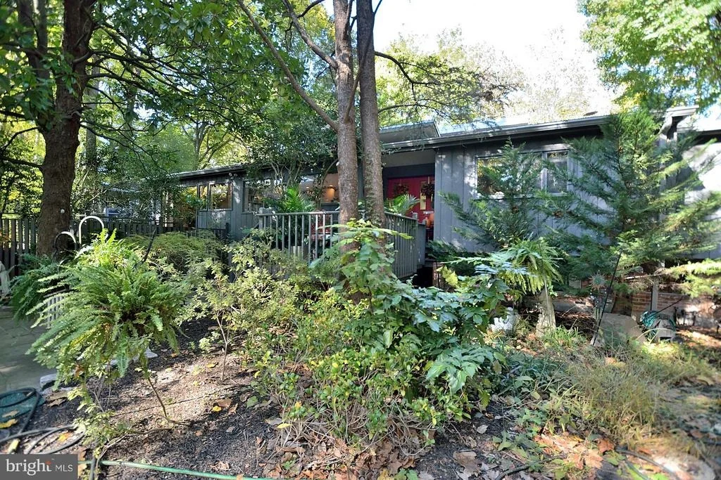 Photo of 4 BUTTONWOOD LANE