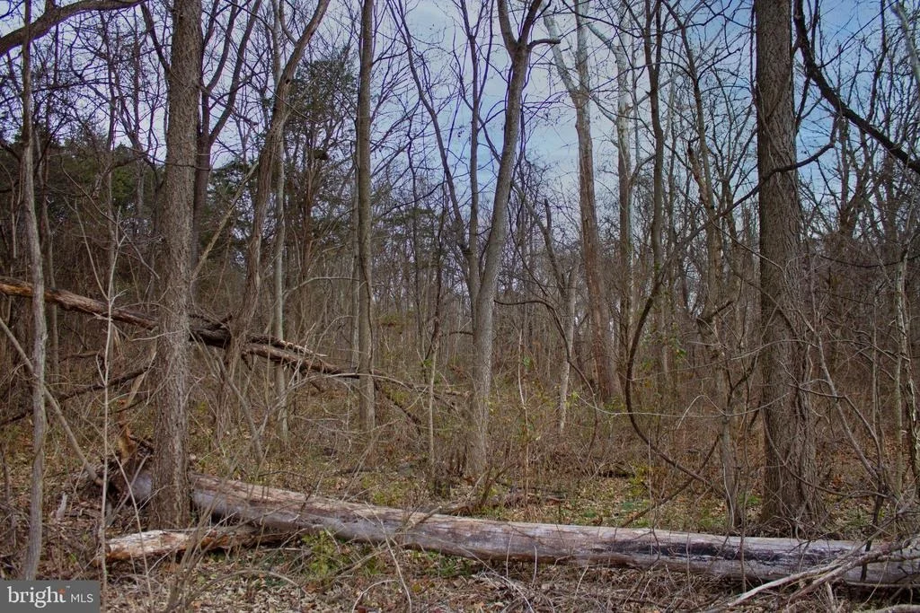 Photo of 8103 AVIS MILL ROAD