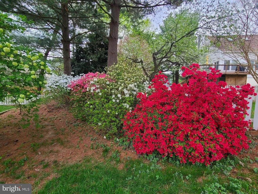Photo of 2321 PONDSIDE TERRACE