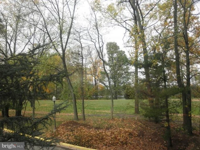 Photo of Unit 4111 at 15100 INTERLACHEN DRIVE
