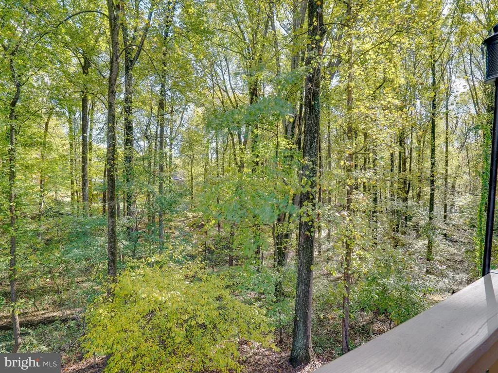 Photo of 17509 SKYLINE DRIVE