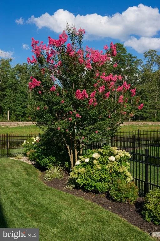 Photo of 31417 BAREFOOT CIRCLE