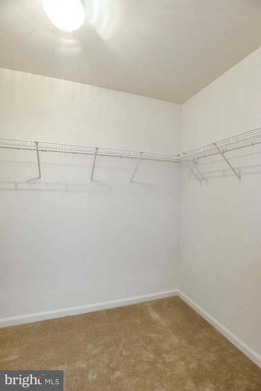 Photo of 12064 PAPER BIRCH LANE