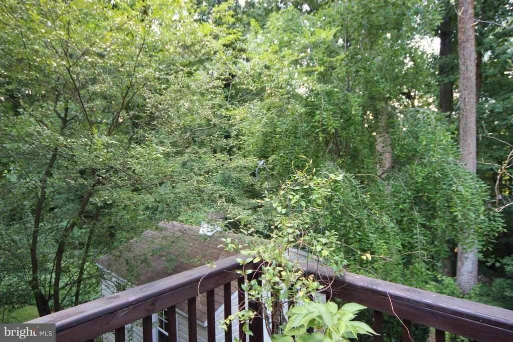 Photo of 8109 LANGBROOK ROAD