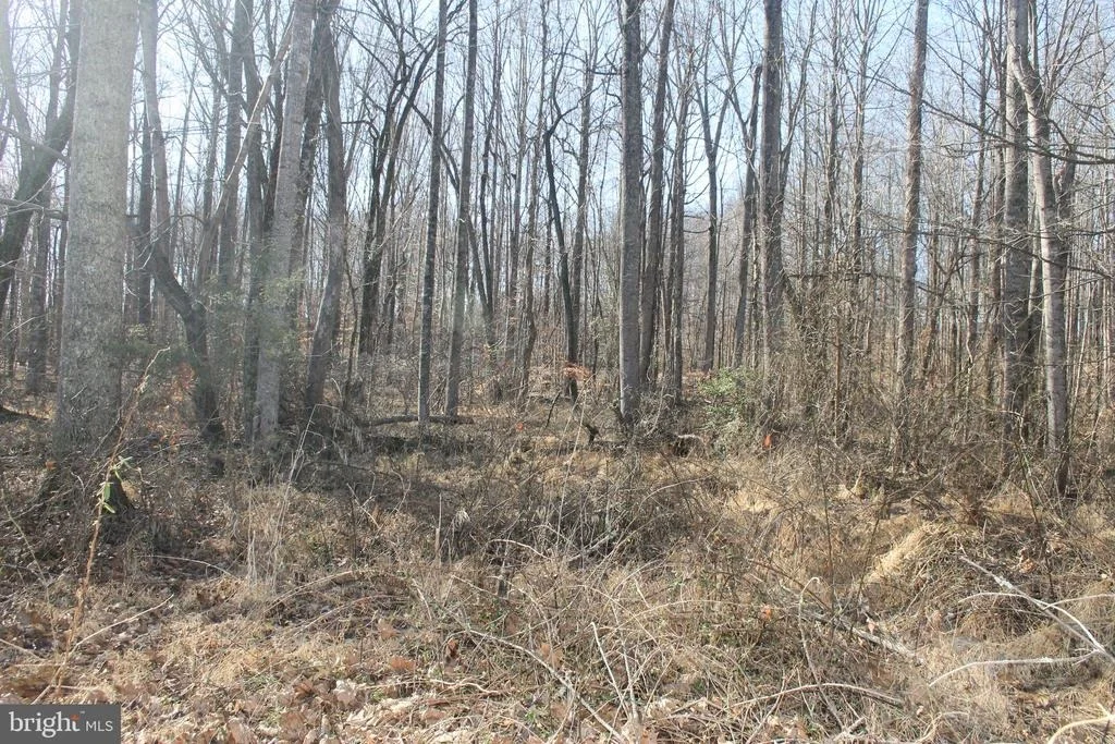 Photo of 6131 MILES LANE