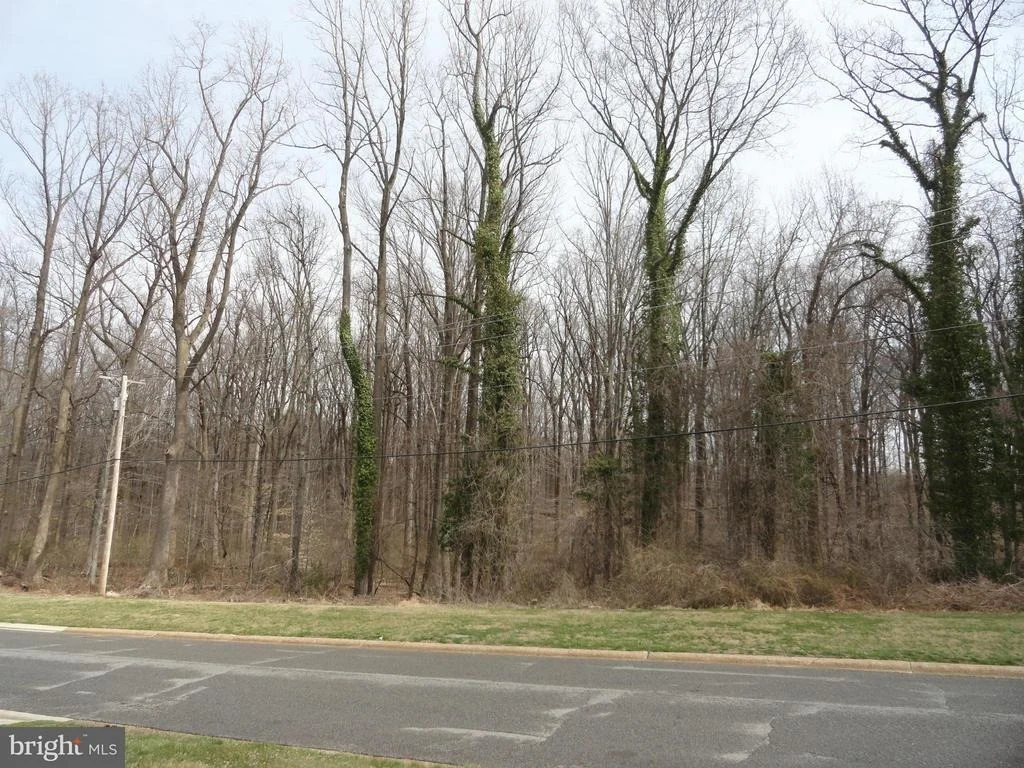 Photo of 2516 KINDERBROOK LANE