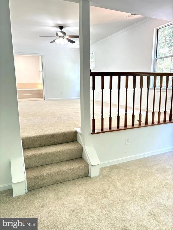 Photo of 13002 PINE COURT