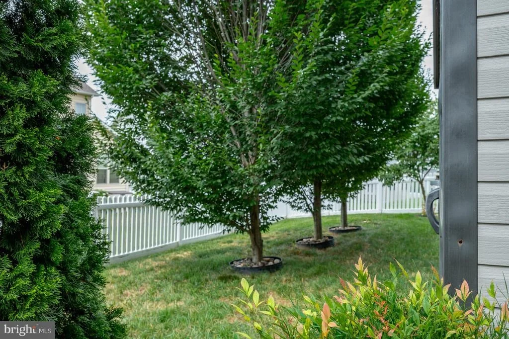 Photo of 1123 LONG FARM CIRCLE