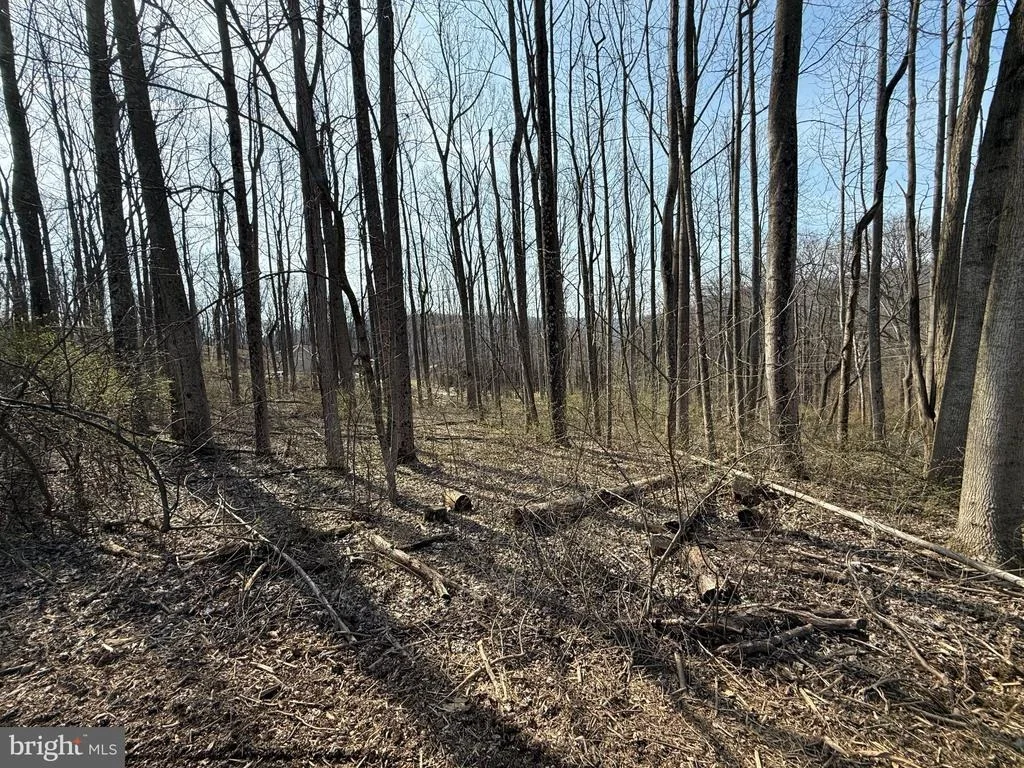 Photo of 2 BONNIE TRAIL
