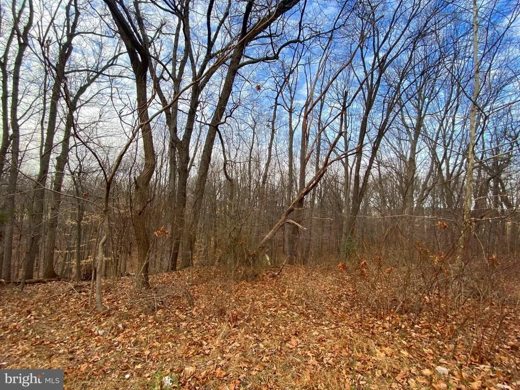 Photo of 2052 HOFFMASTER ROAD