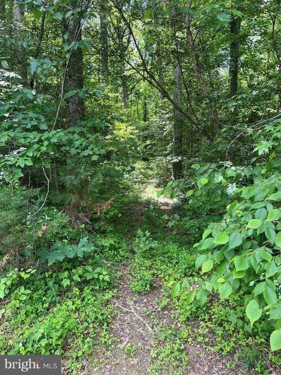Photo of 5517 FOREST VIEW DRIVE
