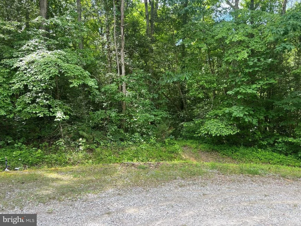 Photo of 5517 FOREST VIEW DRIVE