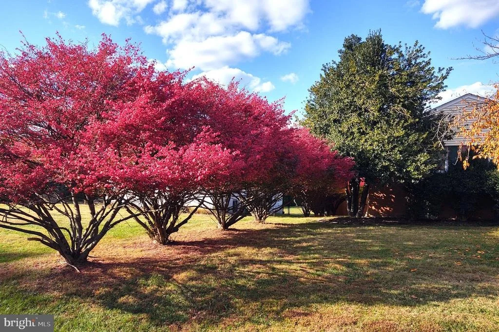 Photo of 216 PAULA LYNN DRIVE